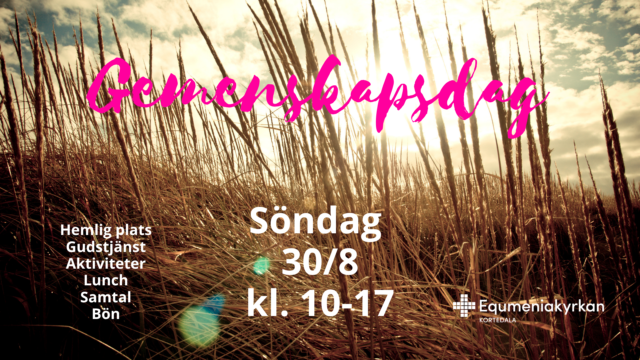 Gemenskapsdag